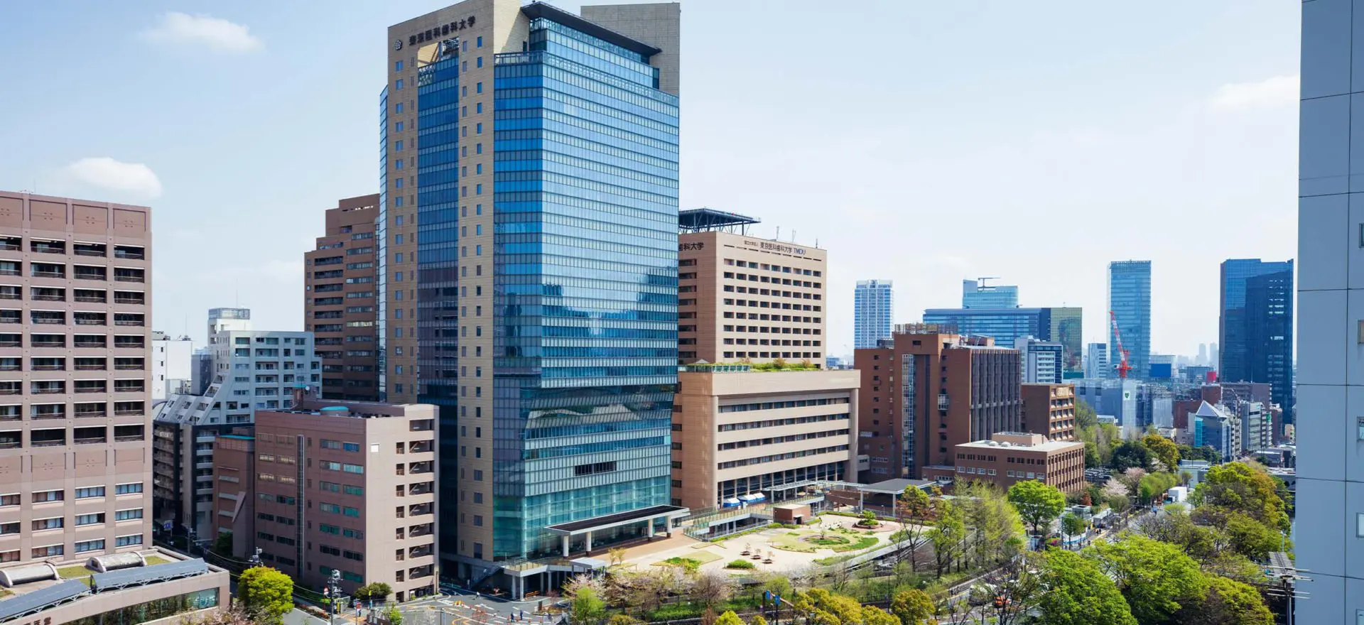 東京医科歯科大学